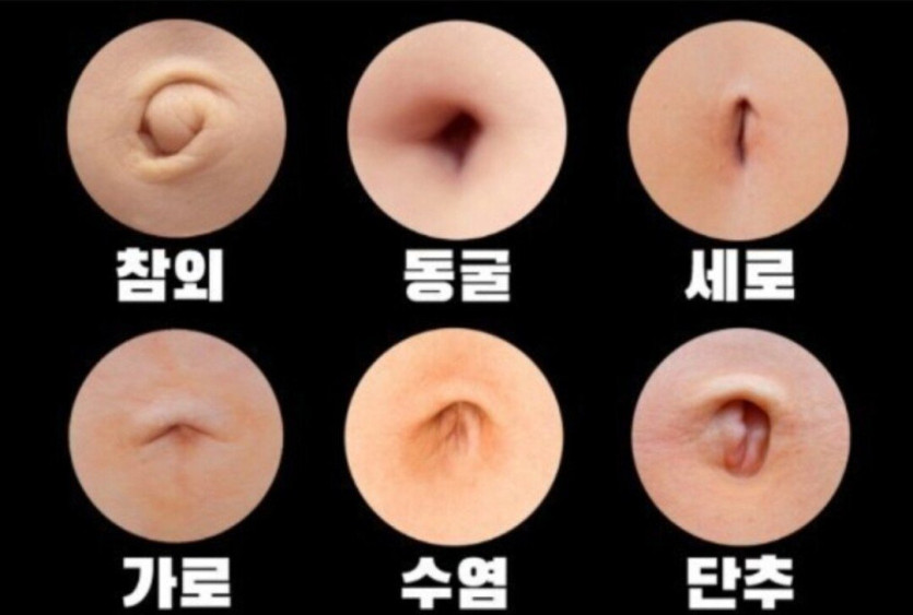 이사진보고 내 배꼽 안보는 사람 없다