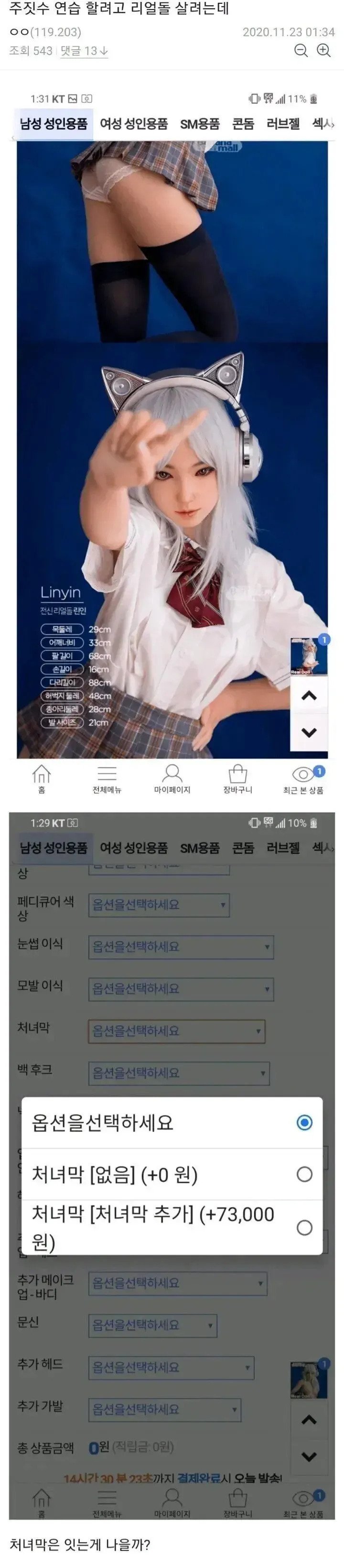 ㅇㅎ)주짓수 연습 할려고 리얼돌 사려는 디씨인.jpg ㅇㅎ) 주짓수 연습 할려고 리얼돌 사는데