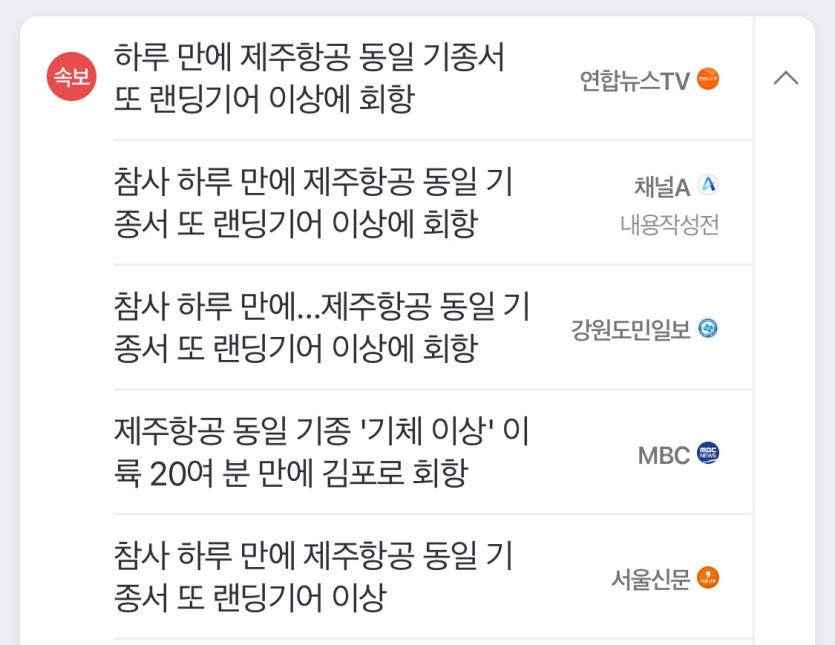 IMG_8834.jpeg [속보] 제주항공 동일기종서 또 랜딩기어 이상에 회항