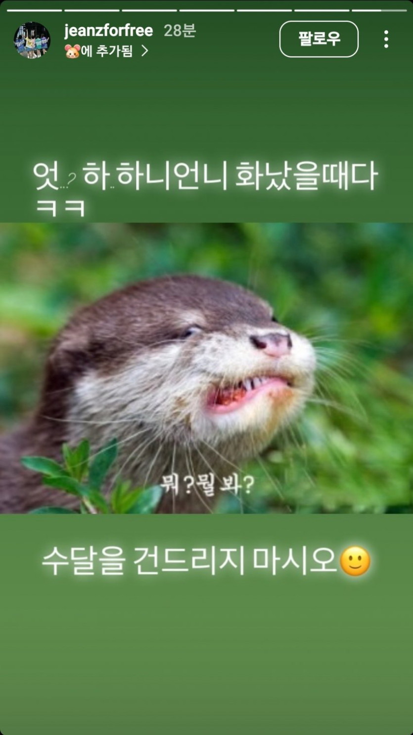 뉴진스 인스타 스토리 업로드