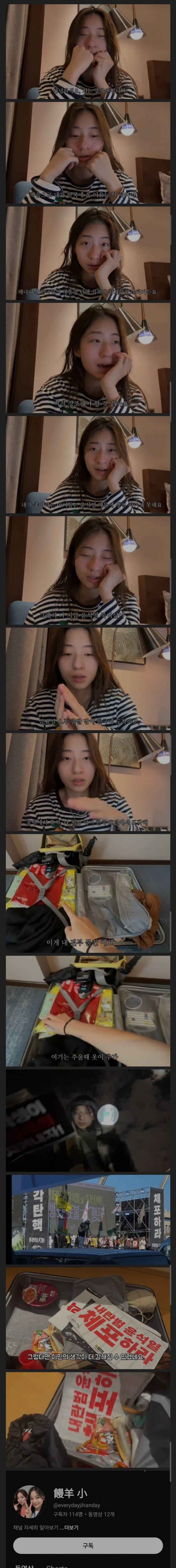1000001503.jpg 탄핵시위에 참석한 중국인