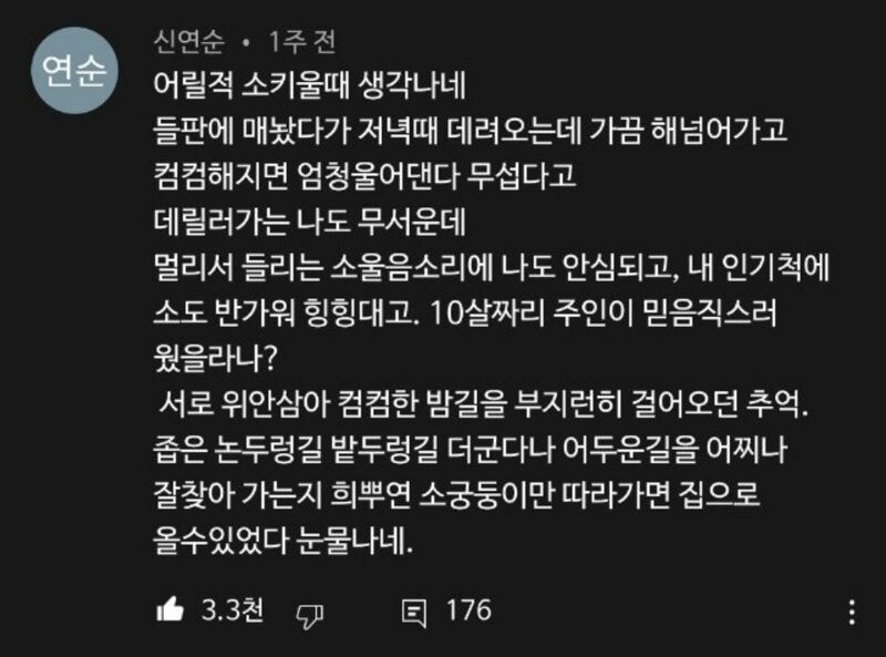 bt67a18600867f152ee2d1abfa9cadf695.jpeg