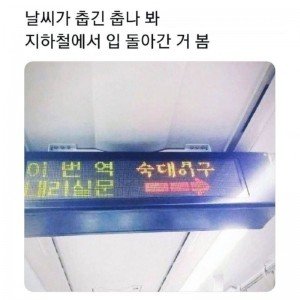 17396369529007.jpg