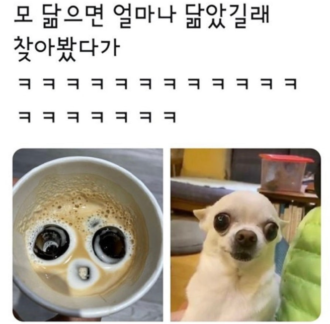 c331034b5d3facf85b31a2972dd1fcf0_1742827214_4682.png
