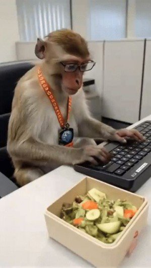 17423505908728.jpg