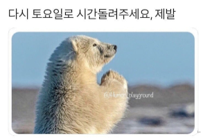 d2b9c84b750eda34dc6d1ed3cc559741_1743003454_3968.png