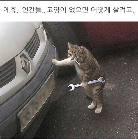 db93771ae7f14c561c7e21e31650e55d_1743002917_2748.png