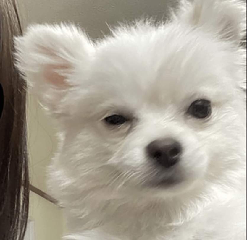 image.png 회식 끝나고 취해서 부장님한테 보낸 문자.jpg