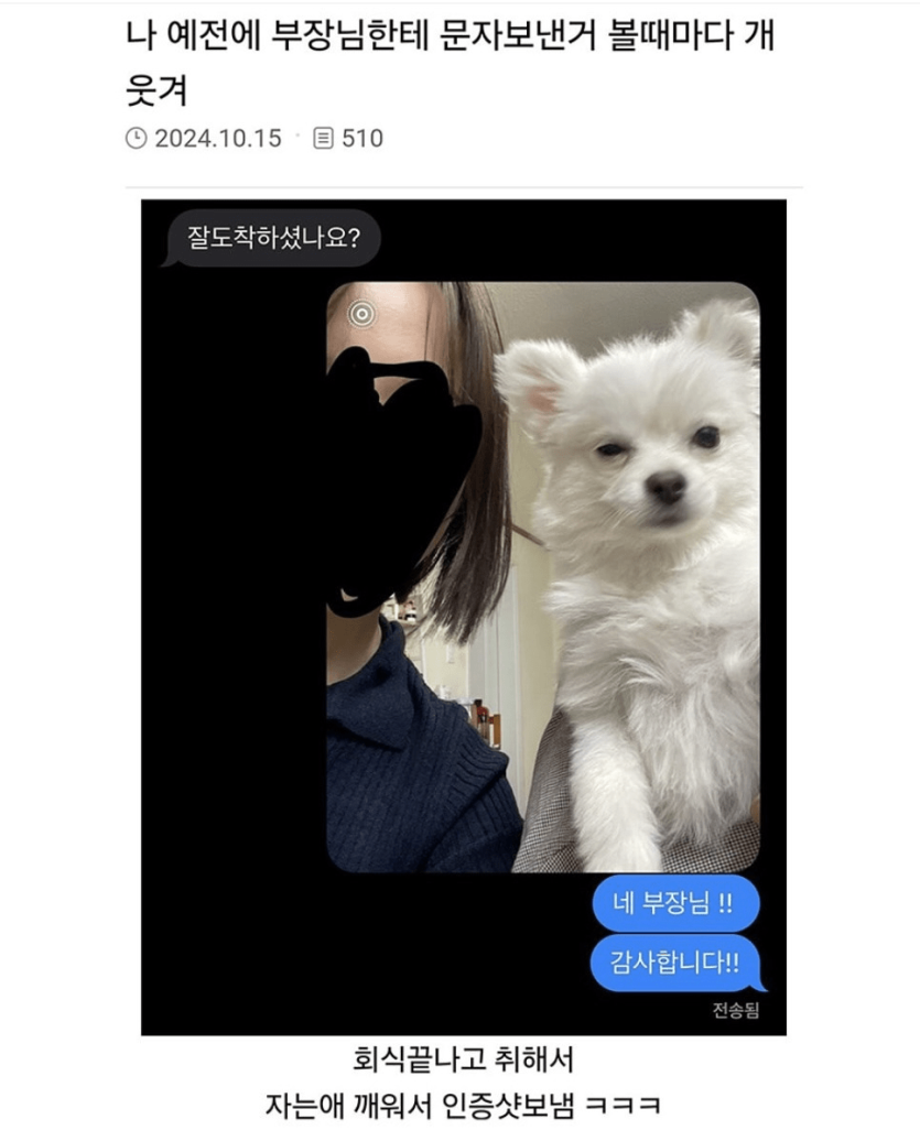 image.png 회식 끝나고 취해서 부장님한테 보낸 문자.jpg