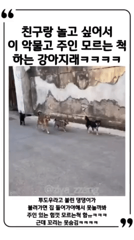 bt1a3b930627f79f38f7b14f05c3dcd13e.gif