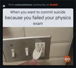 17440789037898.jpg