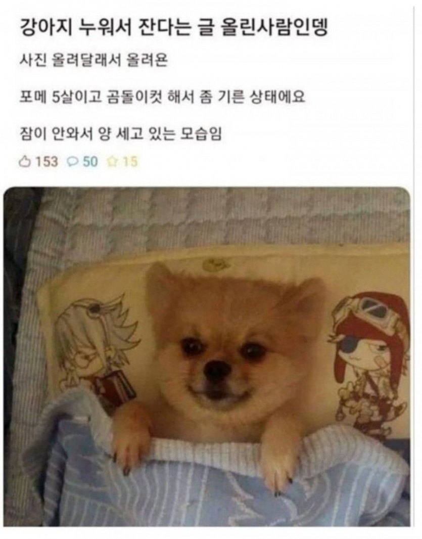 cadb399e1592b8bd7670acd9dcf9bff8_1746412895_8996.jpeg