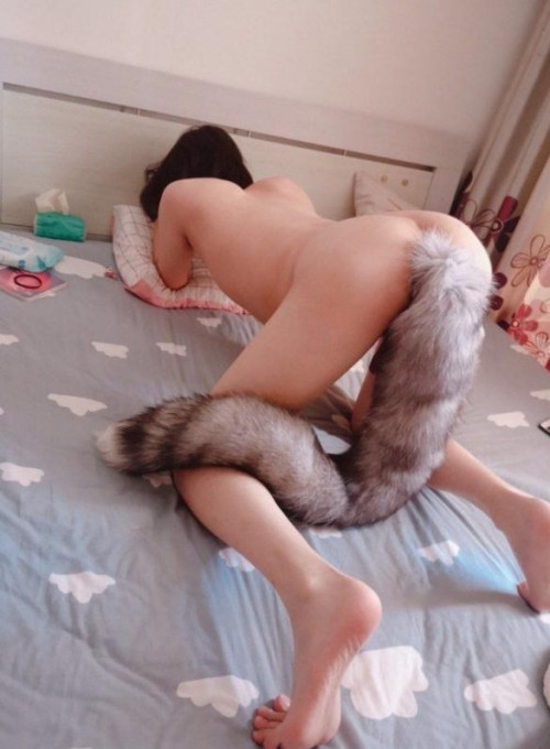 꼬리가 어디에...?