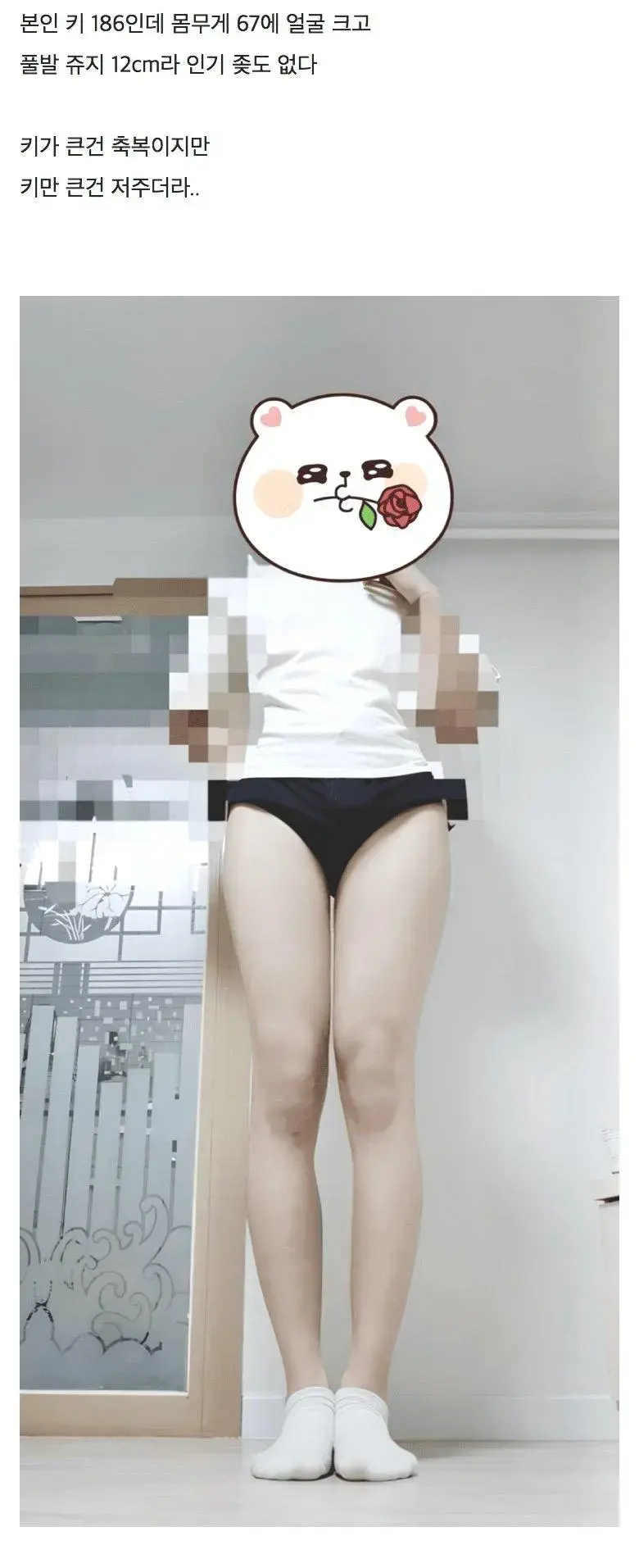 btefb8ea6a0024ab322a1404253c75e031.webp