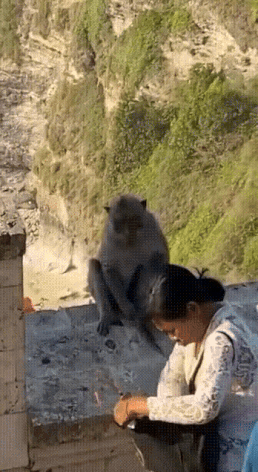 1930758421_VFoxjKDS_a7c0540e54cdbafa914e3749f371a2a224471361.gif