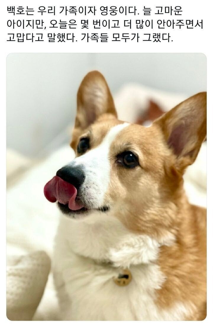 bt0da1e02e0cce46e56a874e12bbaaa27b.jpeg