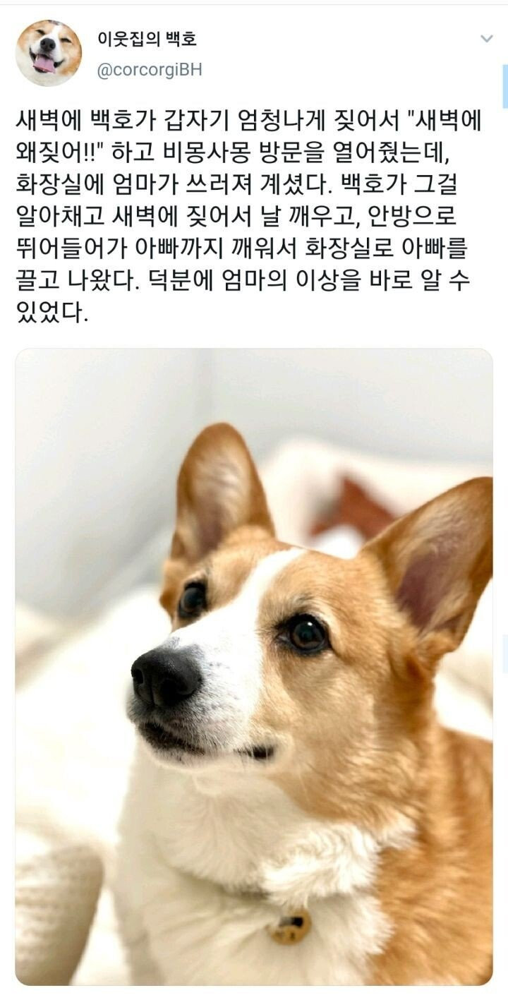 bt489ef6f8c0b3a1a148015e9f5ecd461a.jpeg