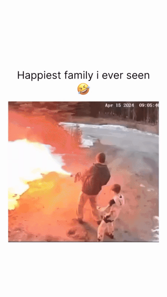 3731888841_S3tkf12p_8425835ef85e25df6f030325c8b544491ec9b8dd.gif