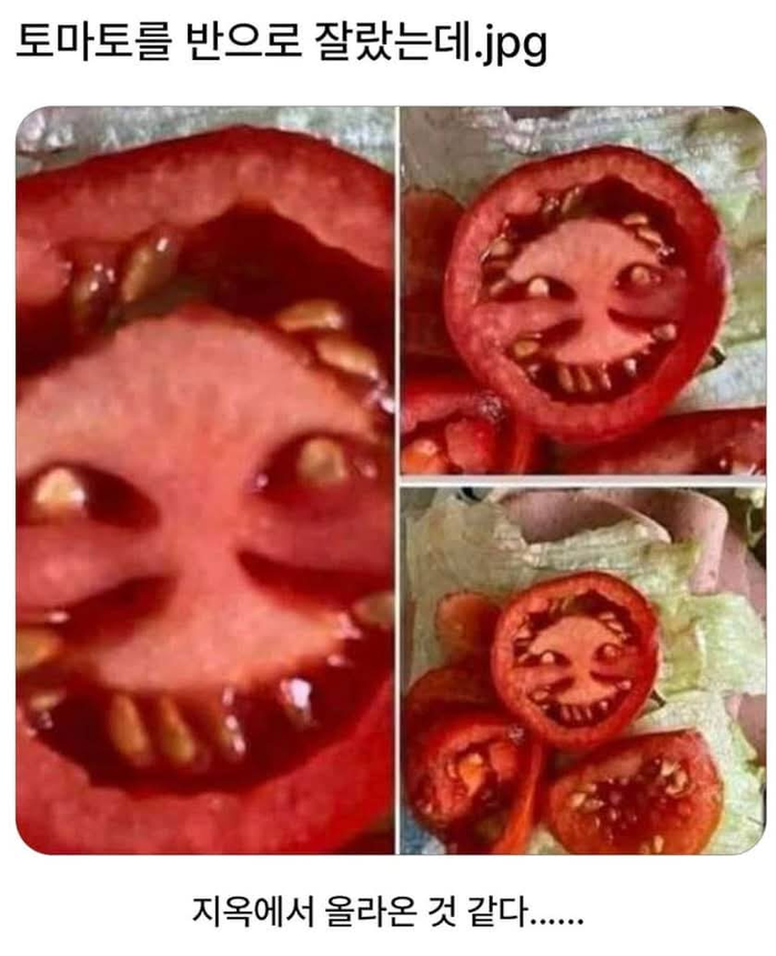첨부이미지
