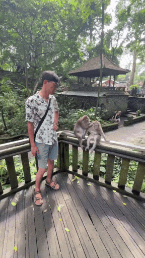 btbcea3d757b14a9e7bae0d0afb6446ced.gif
