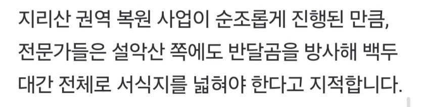 설악산에도 반달곰 풀어야 한다고 주장중인 전문가들 ㅋㅋ