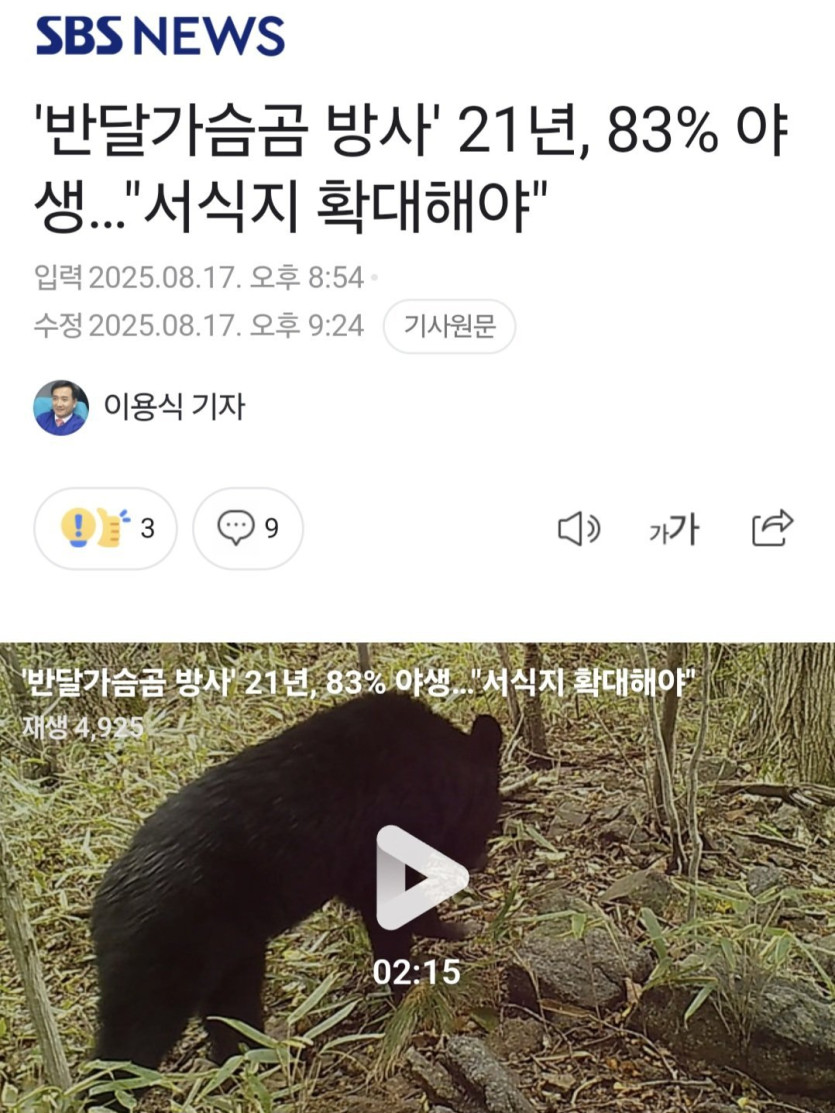 설악산에도 반달곰 풀어야 한다고 주장중인 전문가들 ㅋㅋ