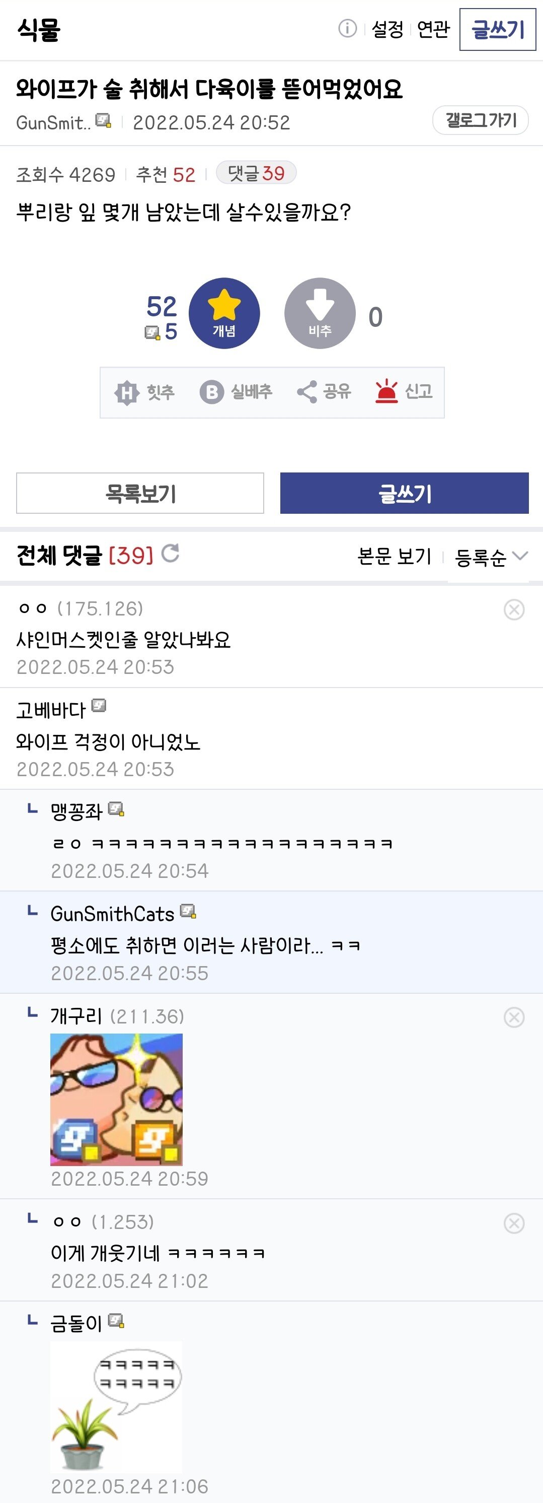 Screenshot_20230703_183221_Samsung Internet Beta.jpg 와이프가 술 취해서 다육이를 뜯어먹었어요.jpg