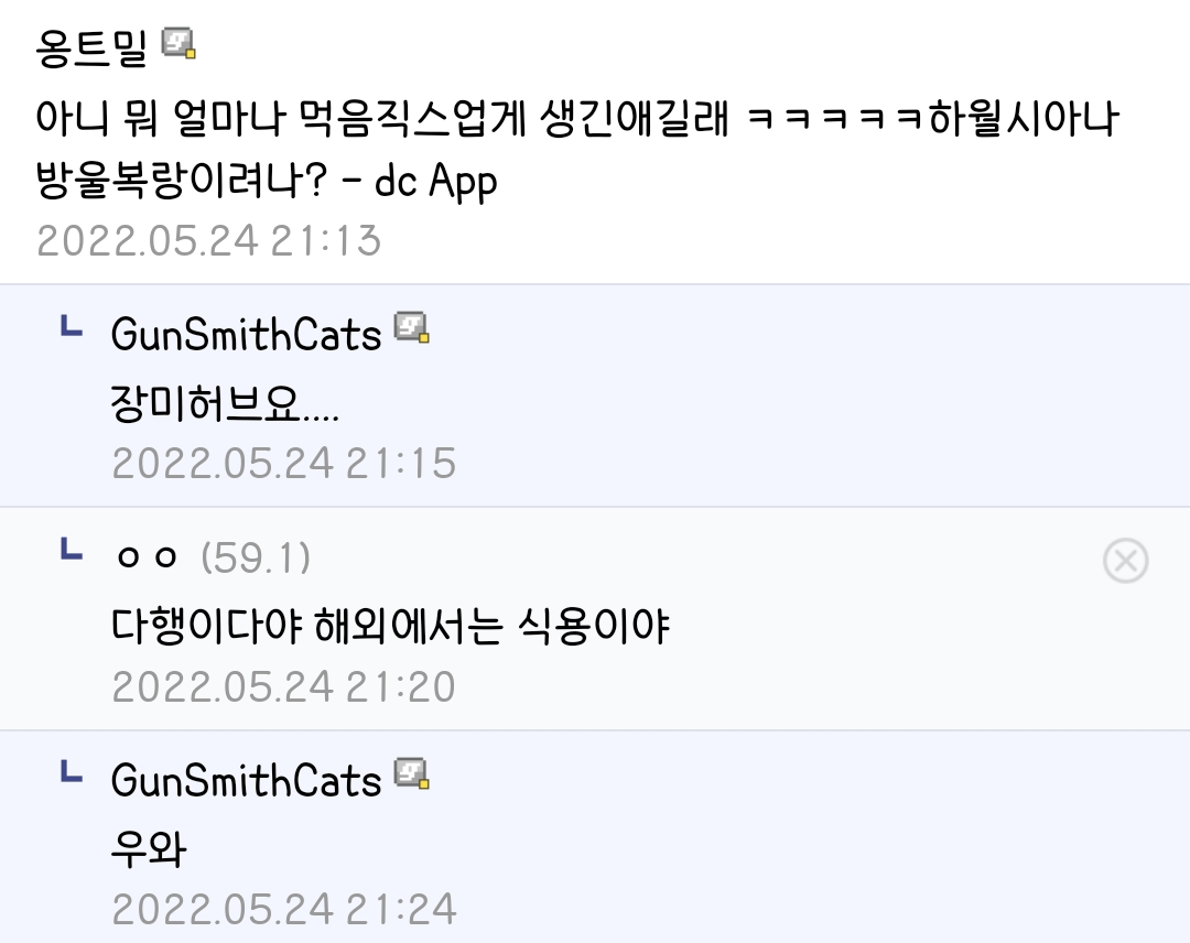 Screenshot_20230703_183323_Samsung Internet Beta.png 와이프가 술 취해서 다육이를 뜯어먹었어요.jpg